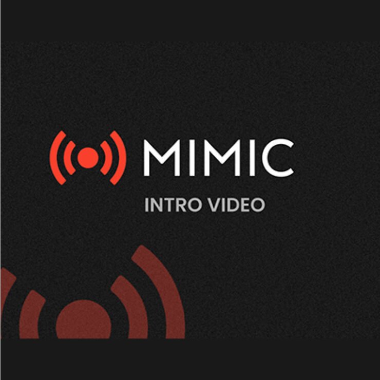 Mimic VIdeo-Cover